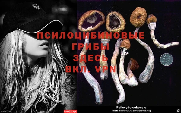 кокаин колумбия Алексеевка