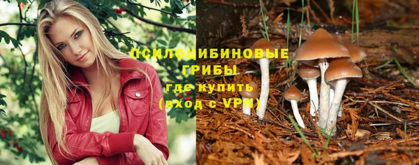 спиды Алексин
