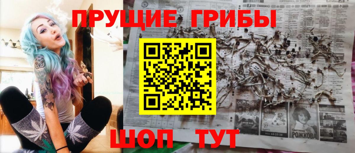 Галлюциногенные грибы MAGIC MUSHROOMS Красногорск