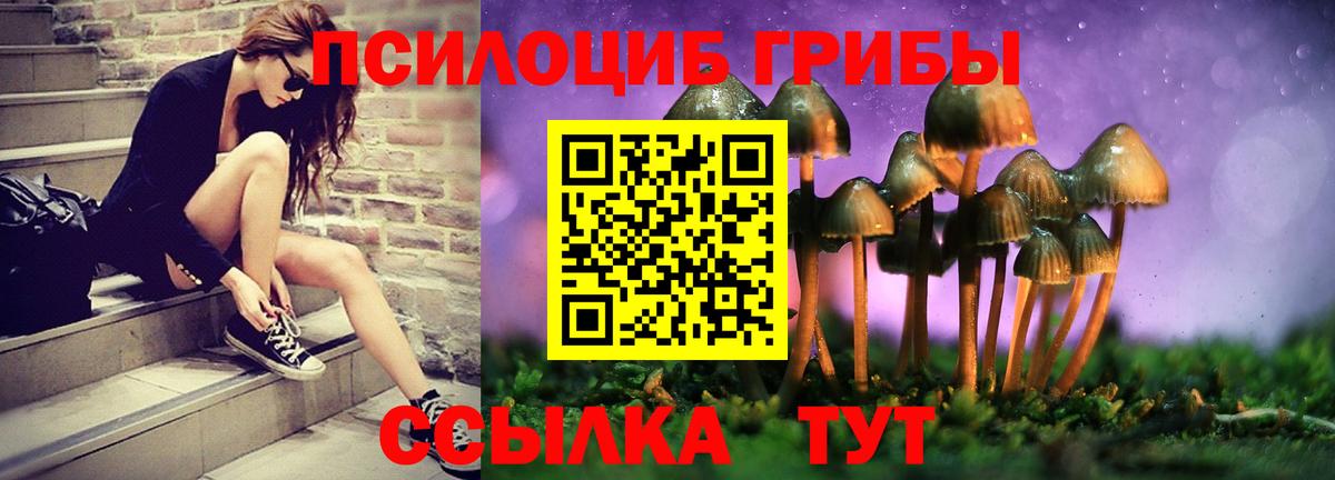 что такое   Вход с VPN  Псилоцибиновые грибы Psilocybine cubensis  Красногорск  Галлюциногенные грибы MAGIC MUSHROOMS 